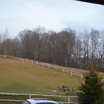 Stajnia Grudki Energylandia Zator * Wożniki