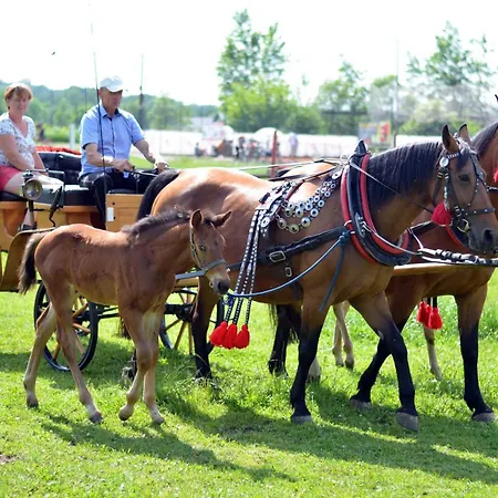 Stajnia Grudki Energylandia Farm stay Zator